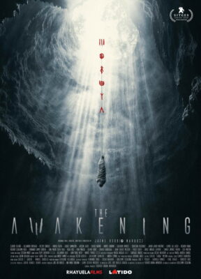 The Awakening movie poster