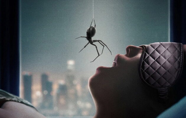 Spider dangling over an open mouth of a sleeping person.