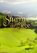 Storm of Love TV series poster