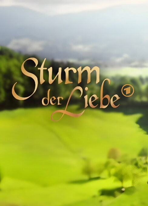 Storm of Love TV series poster