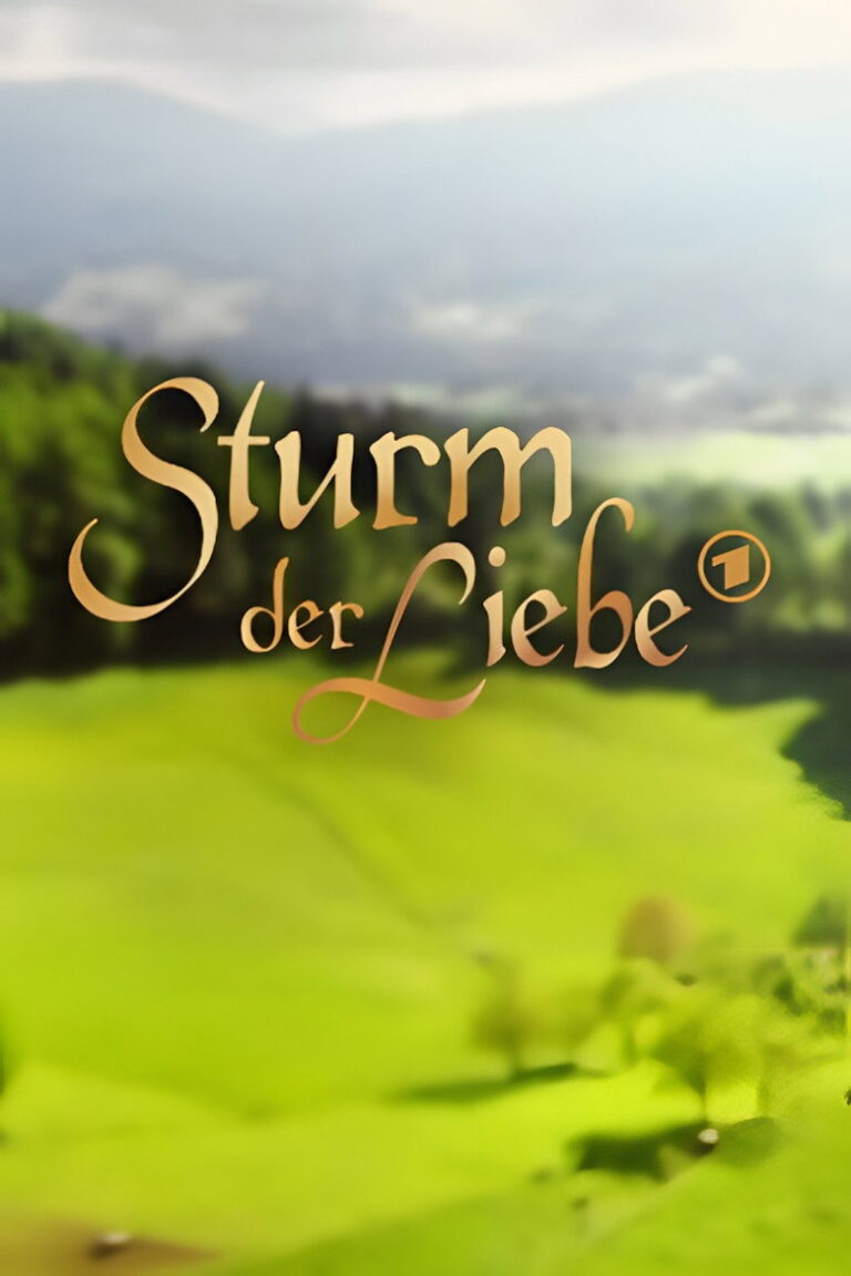Storm of Love TV series poster