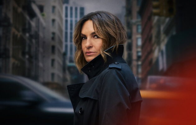 Law & Order: Special Victims Unit TV series poster