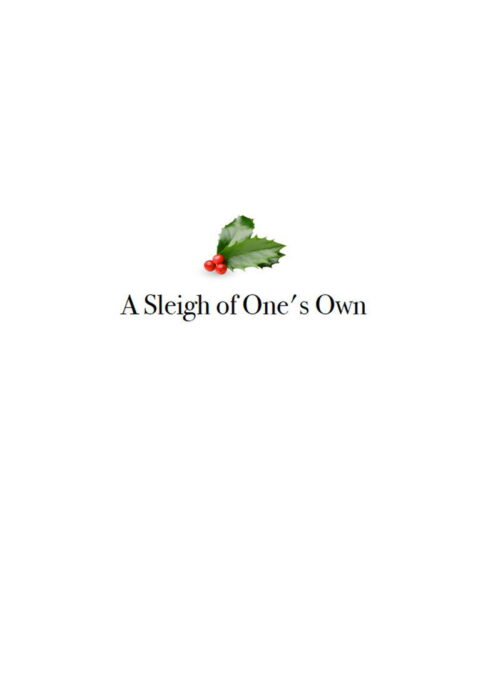 A Sleigh of One’s Own movie poster