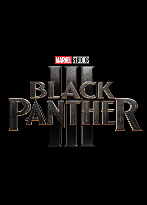 Black Panther 3 movie poster